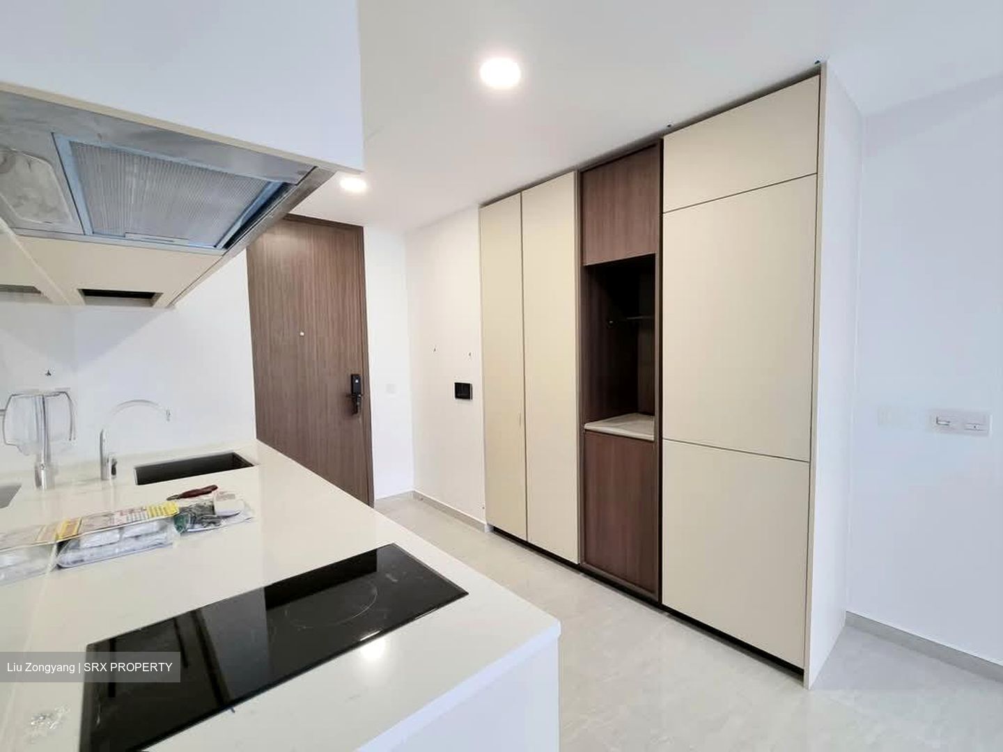 Kopar At Newton (D9), Apartment #574111681